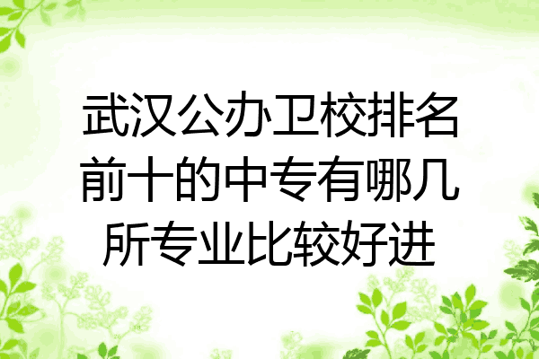 武汉公办卫校排名前十的中专有哪几所专业比较好进