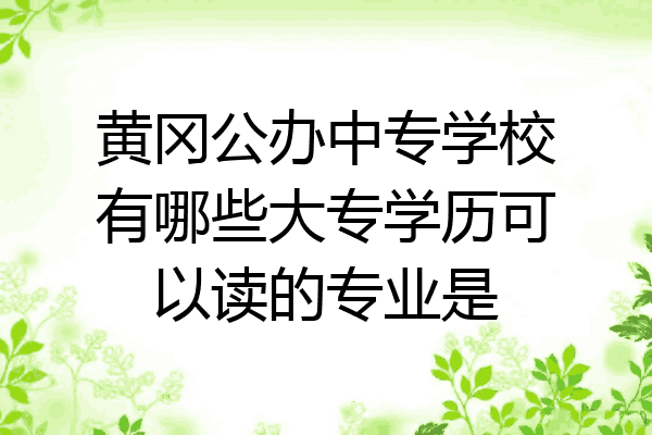 黄冈公办中专学校有哪些大专学历可以读的专业是