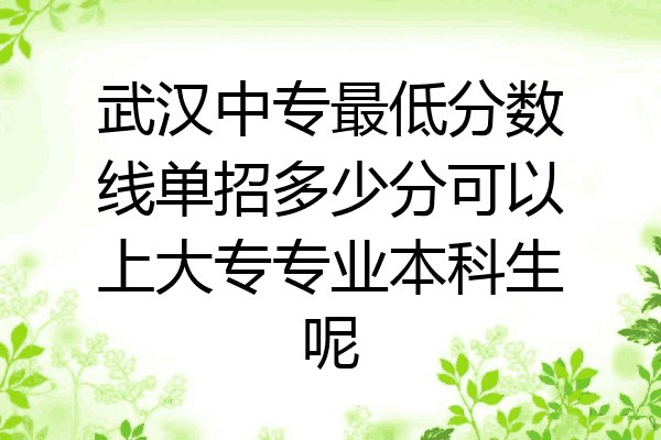 武汉中专最低分数线单招多少分可以上大专专业本科生呢