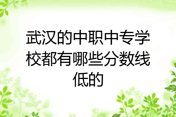 武汉的中职中专学校都有哪些分数线低的