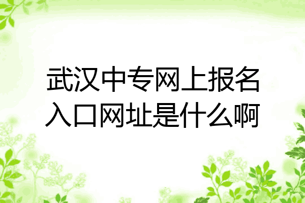 武汉中专网上报名入口网址是什么啊