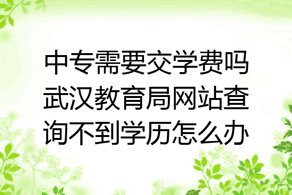中专需要交学费吗武汉教育局网站查询不到学历怎么办