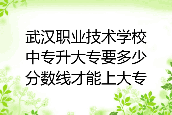 武汉职业技术学校中专升大专要多少分数线才能上大专