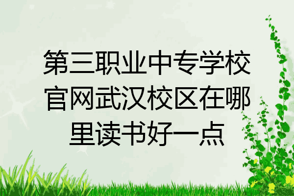 第三职业中专学校官网武汉校区在哪里读书好一点