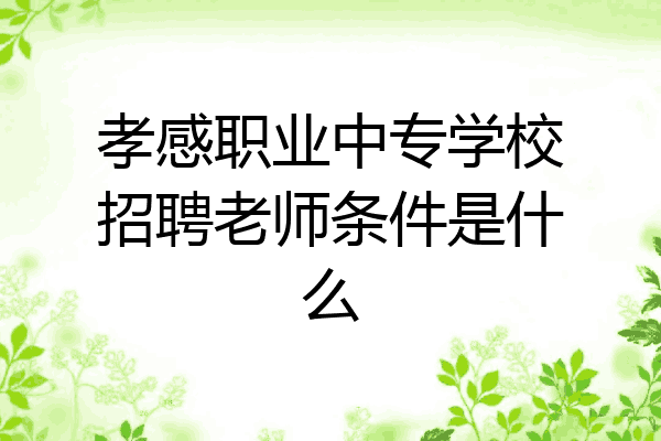 孝感职业中专学校招聘老师条件是什么