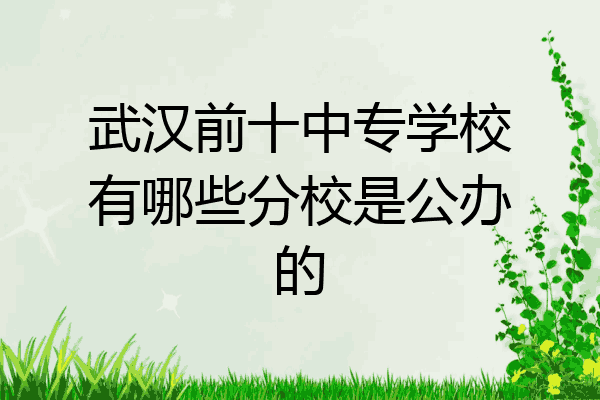 武汉前十中专学校有哪些分校是公办的