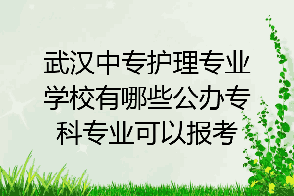 武汉中专护理专业学校有哪些公办专科专业可以报考