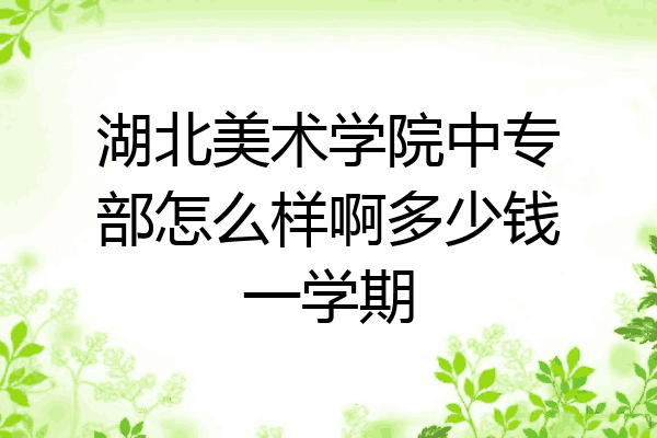 湖北美术学院中专部怎么样啊多少钱一学期