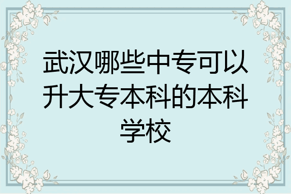 武汉哪些中专可以升大专本科的本科学校