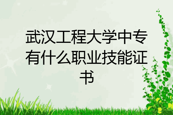 武汉工程大学中专有什么职业技能证书