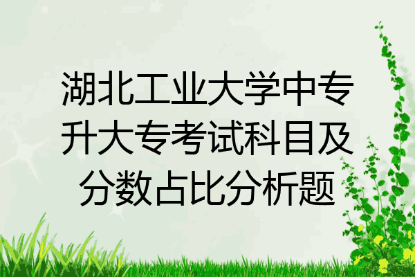 湖北工业大学中专升大专考试科目及分数占比分析题