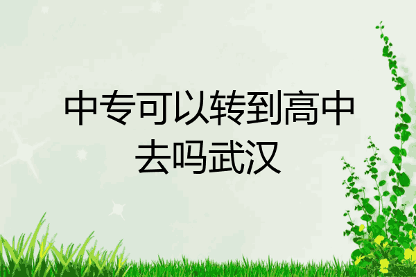 中专可以转到高中去吗武汉