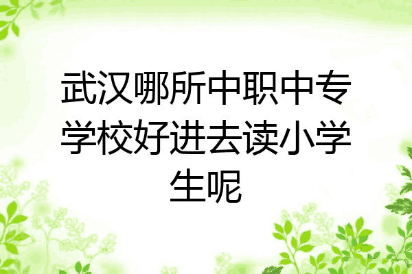 武汉哪所中职中专学校好进去读小学生呢