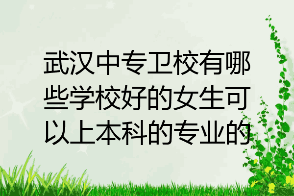 武汉中专卫校有哪些学校好的女生可以上本科的专业的