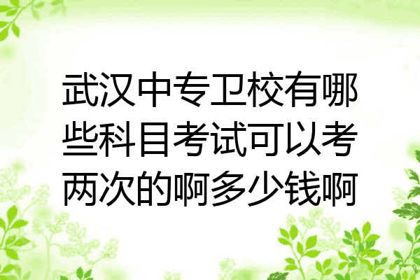 武汉中专卫校有哪些科目考试可以考两次的啊多少钱啊