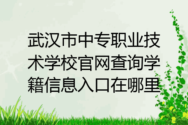 武汉市中专职业技术学校官网查询学籍信息入口在哪里