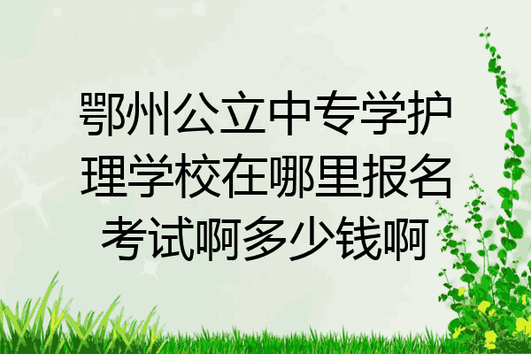 鄂州公立中专学护理学校在哪里报名考试啊多少钱啊