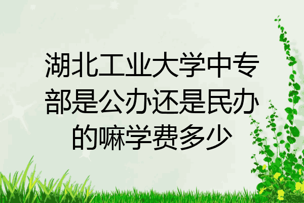 湖北工业大学中专部是公办还是民办的嘛学费多少