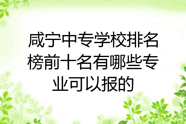 咸宁中专学校排名榜前十名有哪些专业可以报的
