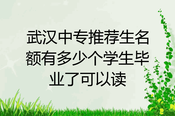 武汉中专推荐生名额有多少个学生毕业了可以读