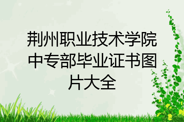 荆州职业技术学院中专部毕业证书图片大全