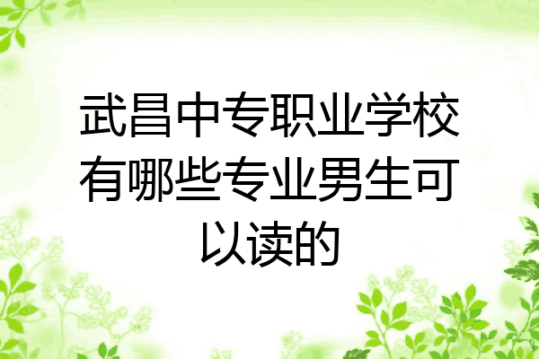 武昌中专职业学校有哪些专业男生可以读的