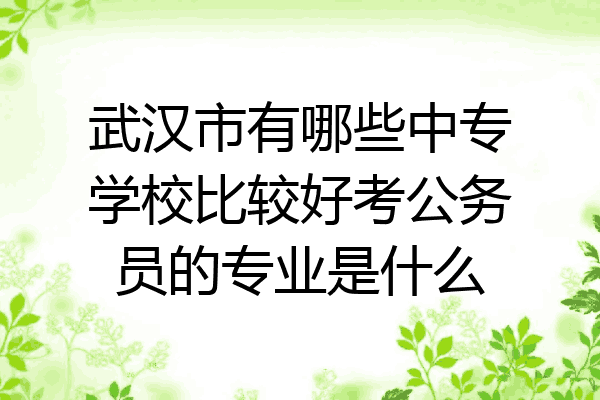 武汉市有哪些中专学校比较好考公务员的专业是什么