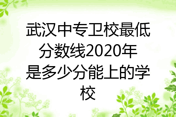 武汉中专卫校最低分数线2020年是多少分能上的学校