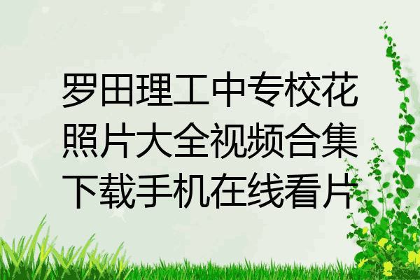 罗田理工中专校花照片大全视频合集下载手机在线看片