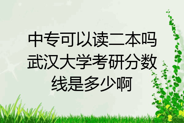 中专可以读二本吗武汉大学考研分数线是多少啊
