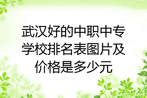武汉好的中职中专学校排名表图片及价格是多少元