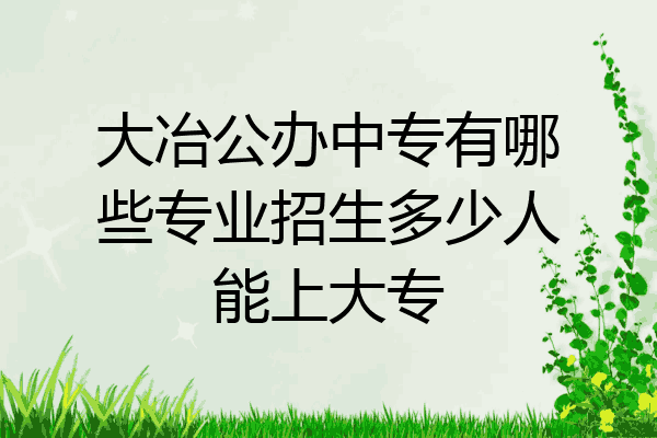 大冶公办中专有哪些专业招生多少人能上大专