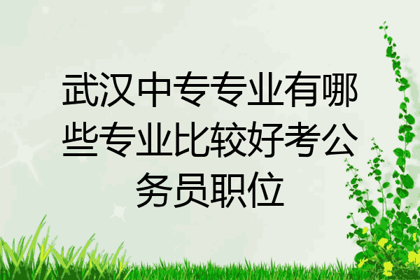 武汉中专专业有哪些专业比较好考公务员职位
