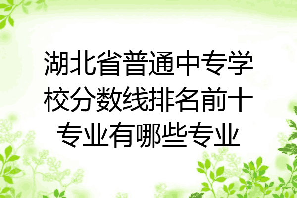 湖北省普通中专学校分数线排名前十专业有哪些专业