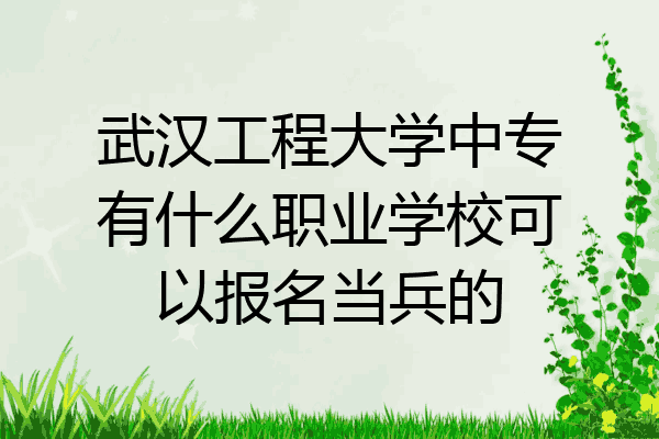 武汉工程大学中专有什么职业学校可以报名当兵的