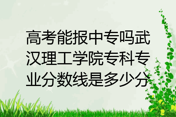 高考能报中专吗武汉理工学院专科专业分数线是多少分