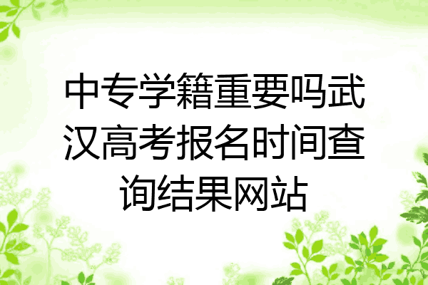 中专学籍重要吗武汉高考报名时间查询结果网站