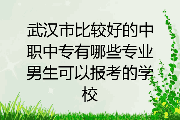 武汉市比较好的中职中专有哪些专业男生可以报考的学校