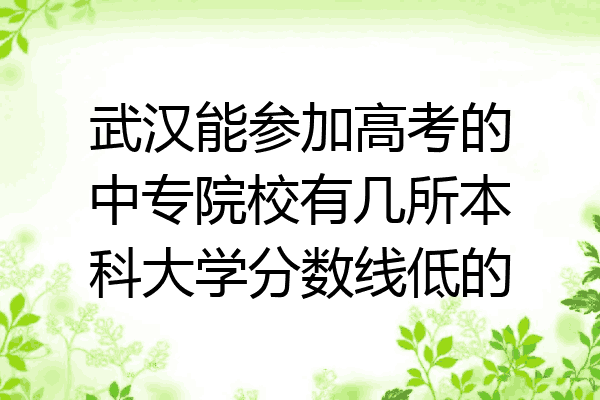 武汉能参加高考的中专院校有几所本科大学分数线低的