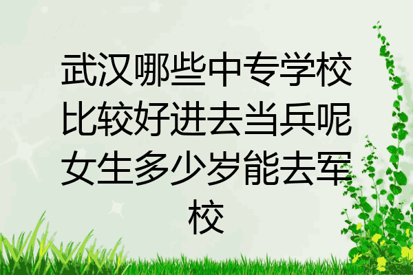 武汉哪些中专学校比较好进去当兵呢女生多少岁能去军校