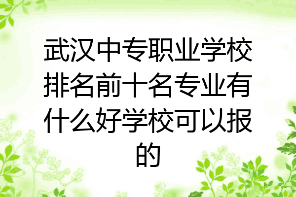 武汉中专职业学校排名前十名专业有什么好学校可以报的