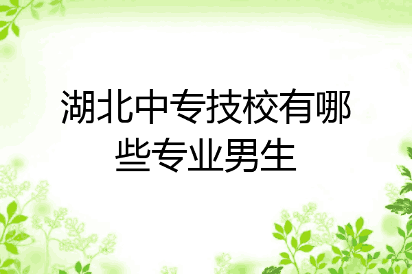 湖北中专技校有哪些专业男生