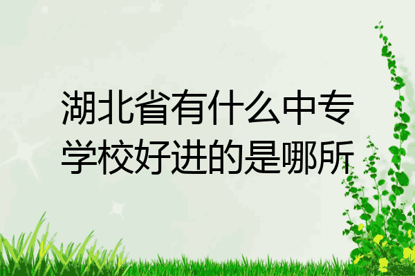 湖北省有什么中专学校好进的是哪所