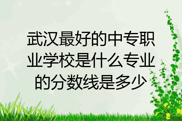 武汉最好的中专职业学校是什么专业的分数线是多少
