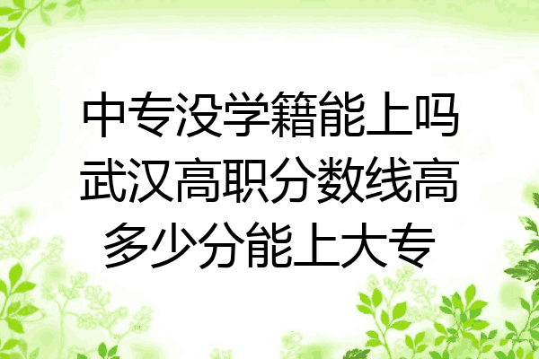 中专没学籍能上吗武汉高职分数线高多少分能上大专