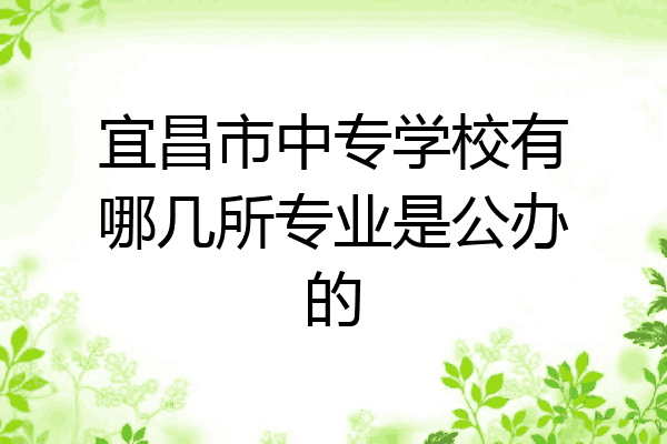 宜昌市中专学校有哪几所专业是公办的