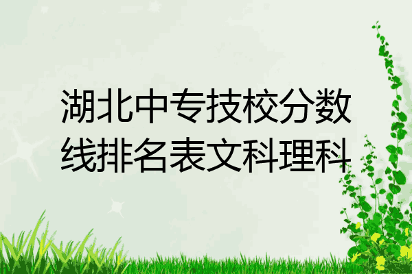 湖北中专技校分数线排名表文科理科