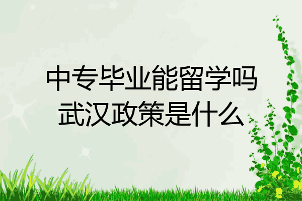 中专毕业能留学吗武汉政策是什么