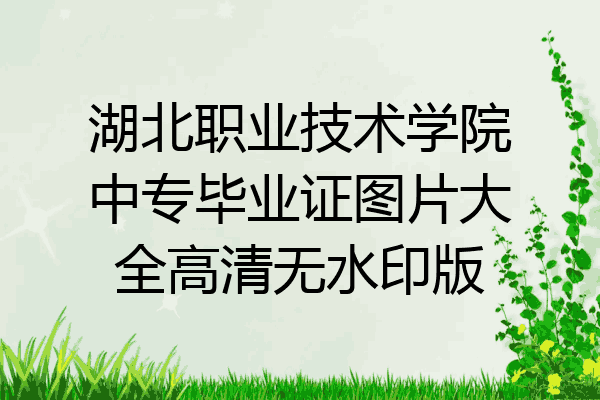 湖北职业技术学院中专毕业证图片大全高清无水印版