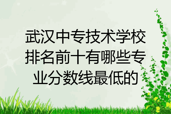 武汉中专技术学校排名前十有哪些专业分数线最低的